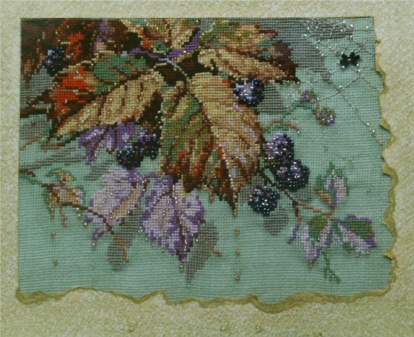 Ежевика покрупнее. В_Растения (Flora)