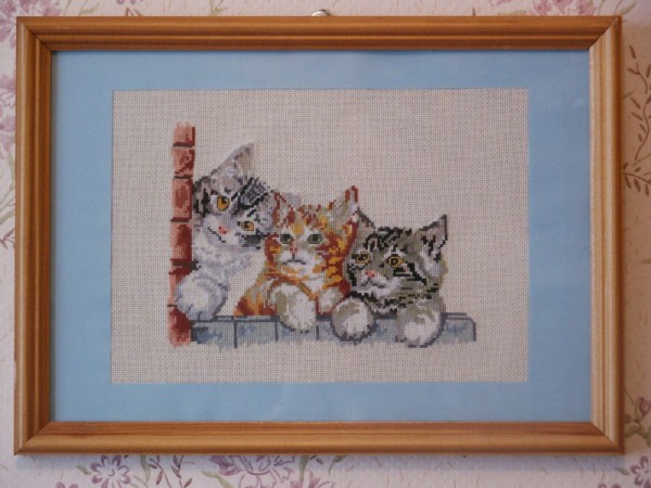 Трио в раме. В_Кошки  (Cats)