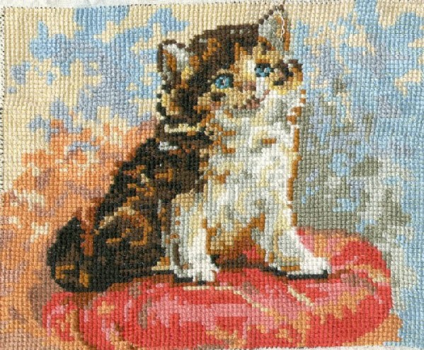 Кот на подушке. В_Кошки  (Cats)