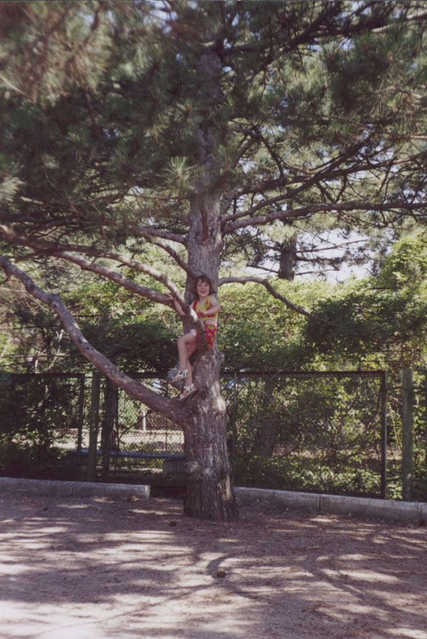 У сосны.. Отдых в Николаевке