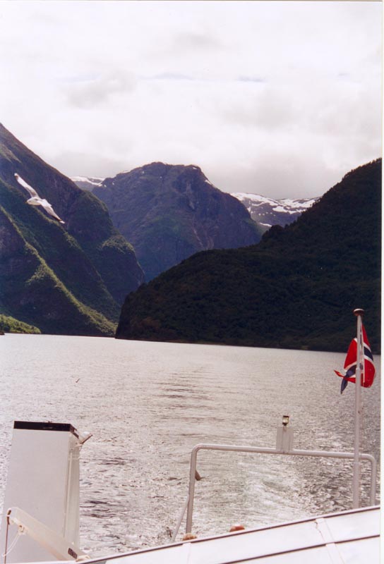 Naroy-fjord. Sweden-Norway