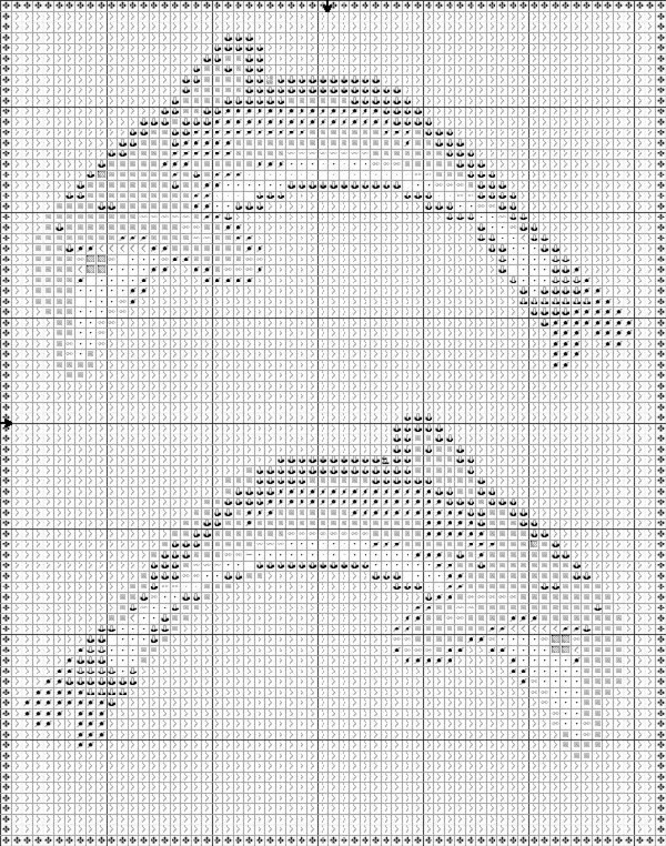 delfines 5p. delfines 2