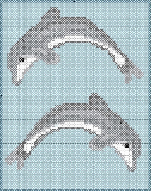 delfines 5. delfines 2