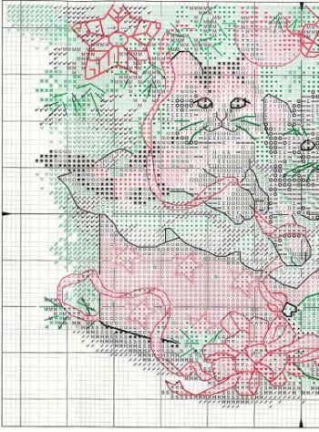 gatitos regalo p1. gatitos regalo