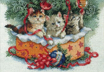 gatitos regalo cd.a. gatitos regalo