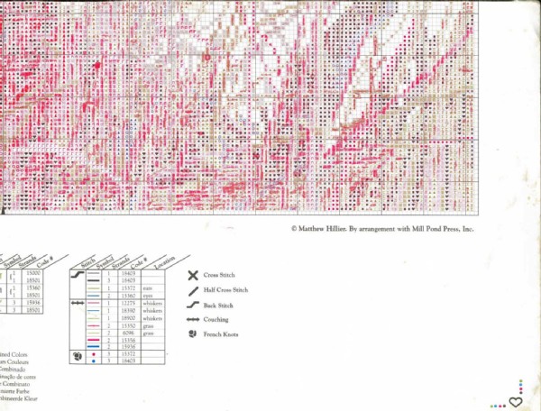 leopardo 5 p2. leopardo 5