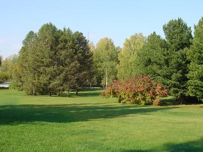 Наш Ботсад. Как мы встречали Дину