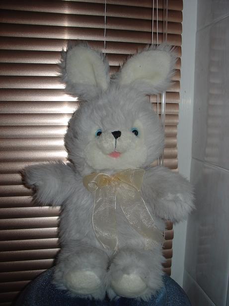 Пушишка. Зайцы форева!