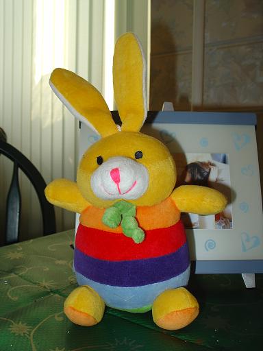 Проша. Зайцы форева!