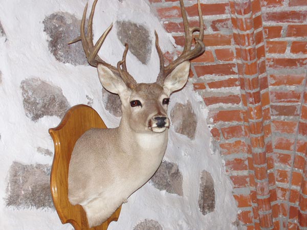 Музей внутри замка.. Тракай. Август 2005 г.