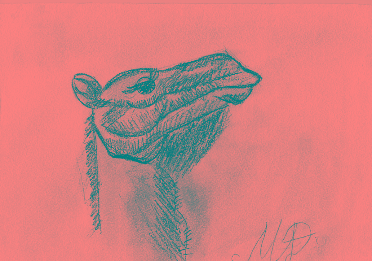 Гордый такой верблюд!. Дарьюшка