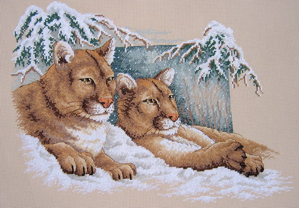 Пумы . История моих вышивок