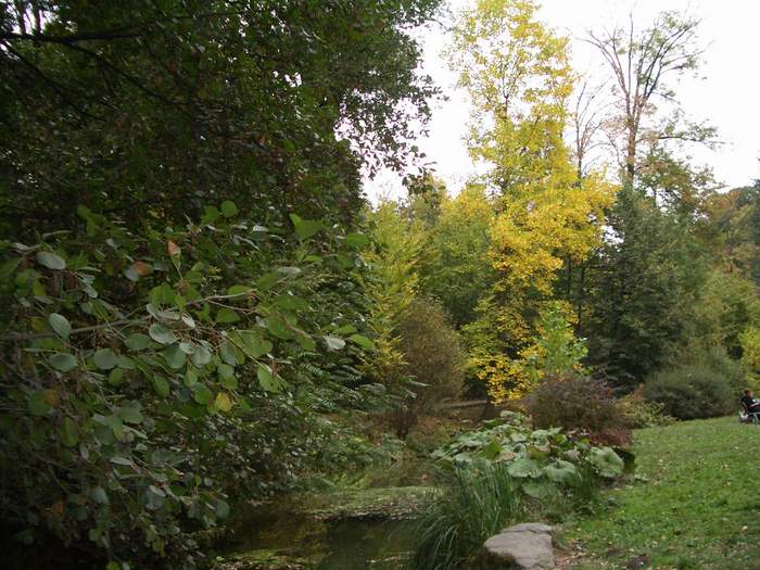 Умань - Софиевка