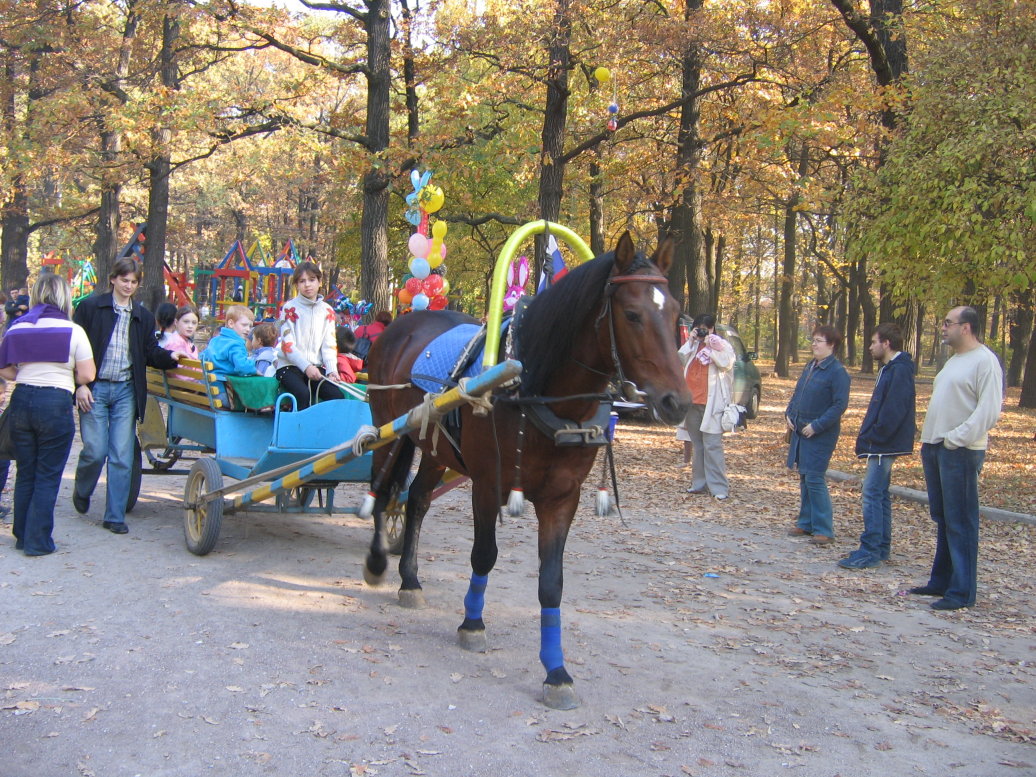 Катание на лошадях. Дубки 2.10.2005