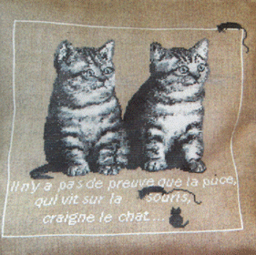 ABC Collection Cats. Cats