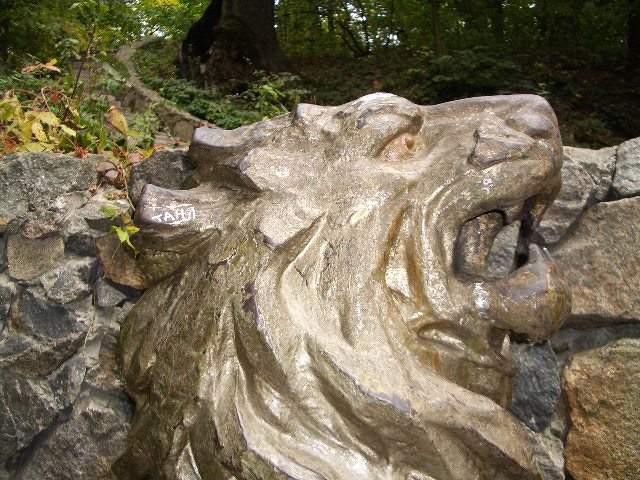 Белая Церковь - Александрия