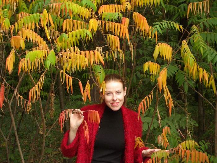 Белая Церковь - Александрия