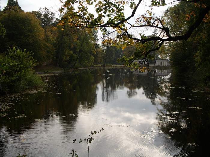 Белая Церковь - Александрия