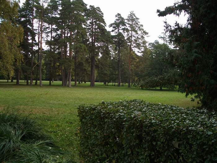 Белая Церковь - Александрия