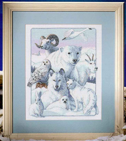 DIM_00336_Northern Dignity. Dimensions