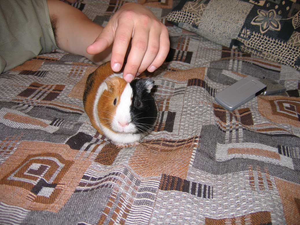 Мотя :) она же Мотря :)) она же Матрена :)) она же Матренища :)). Звери мои :))