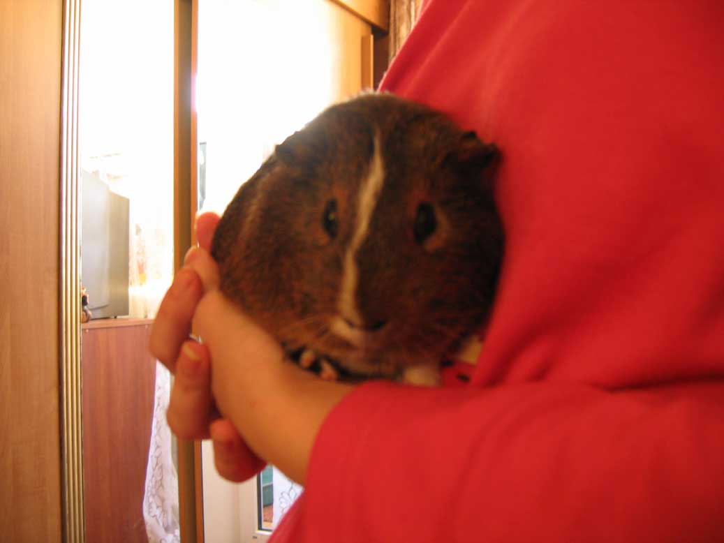 Кузик :)). Звери мои :))