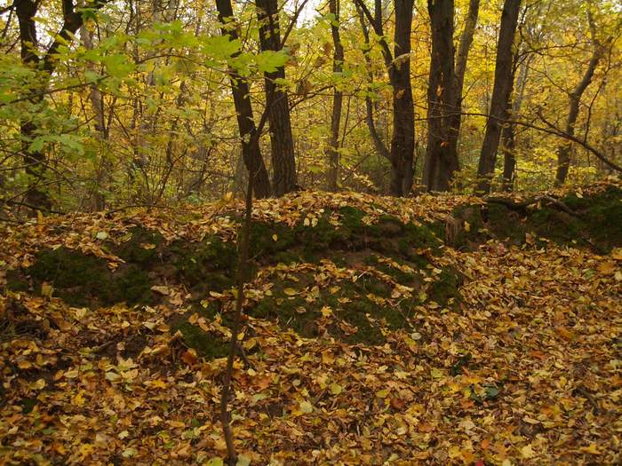 Голосеевский парк