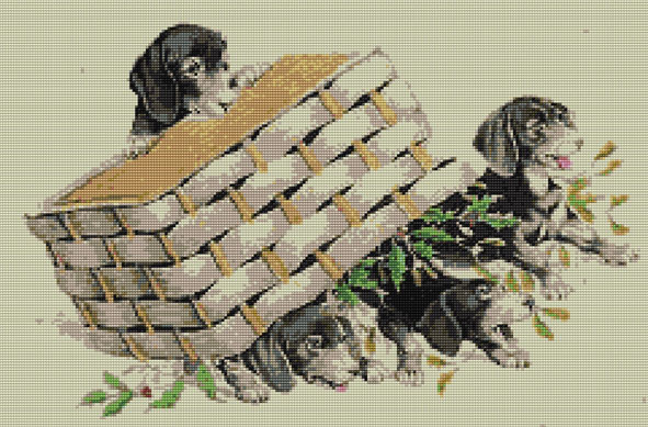 Dachshunds Under the Basket. Animals: