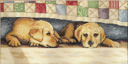 Dim 'Time Out'. Animals: