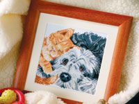 DMC 'You're My Best Friend'. Animals: