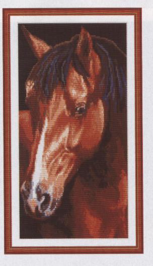 Horse Roan. Animals: