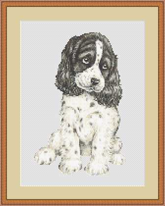 Lovable Spaniel. Animals: