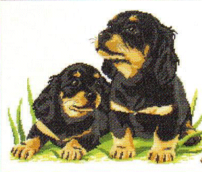 MDC Cute Pets #3. Animals: