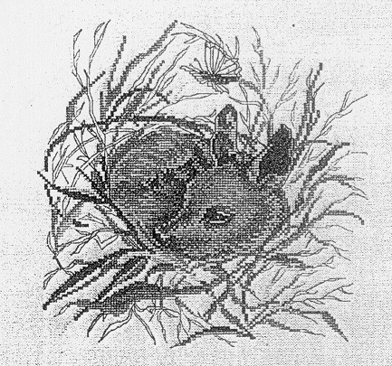 OOE 77.603. Animals: