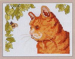 Anchor Marmalade. Cats