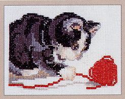 Anchor Playful Kitten. Cats