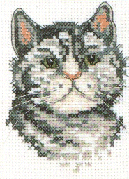 Anchor Silver Tabby. Cats