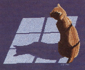 Nine Lives Shadow. Cats