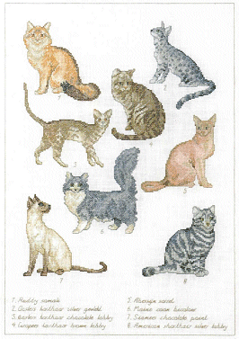 Permin 70-6402. Cats