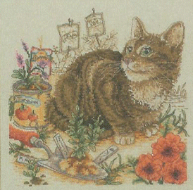 Tabby Cat Treasure. Cats