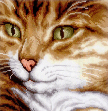 Vervaco 70.170. Cats