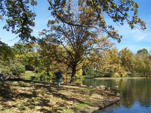 Old Park. Cincinnati-Autumn