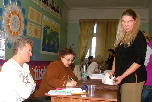 Выставка кошек Киев. Кошки мои и чужие