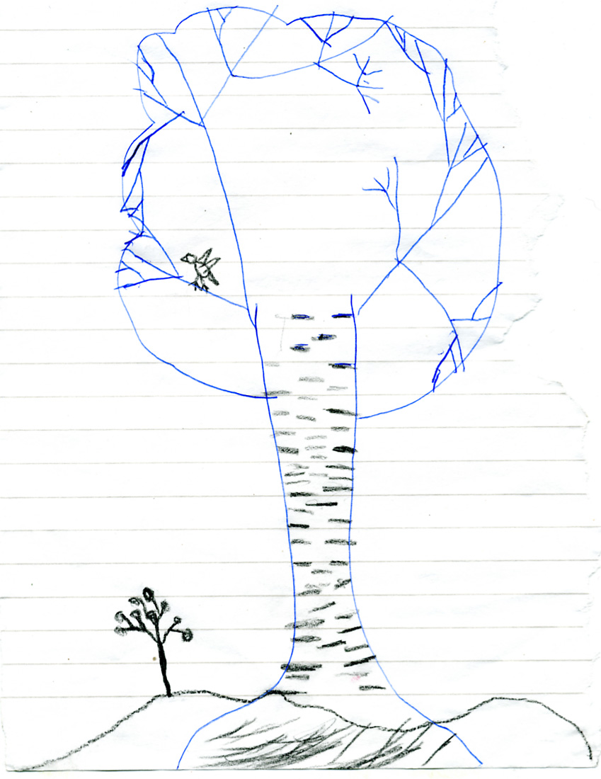 Берёза, воробей и куст рябины. Рисунки Асеньки