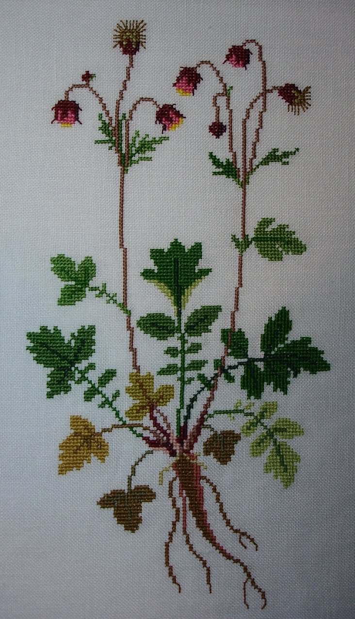 Fremme. Мои работы