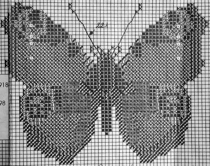 Inachis Lo. 9. Murochka (Вологда), тема: Бабочки