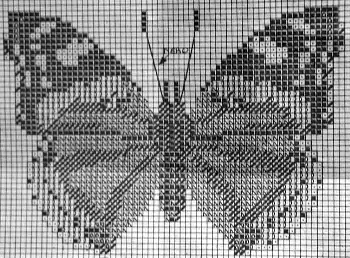 Vanessa Atalanta. 9. Murochka (Вологда), тема: Бабочки