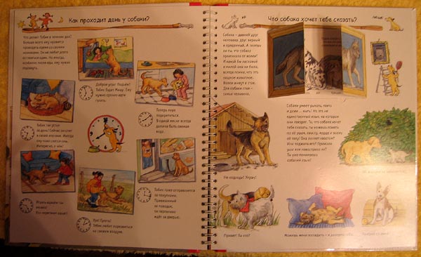 8029-1293-6 Домашние питомцы б/ф 162 руб.. Книги