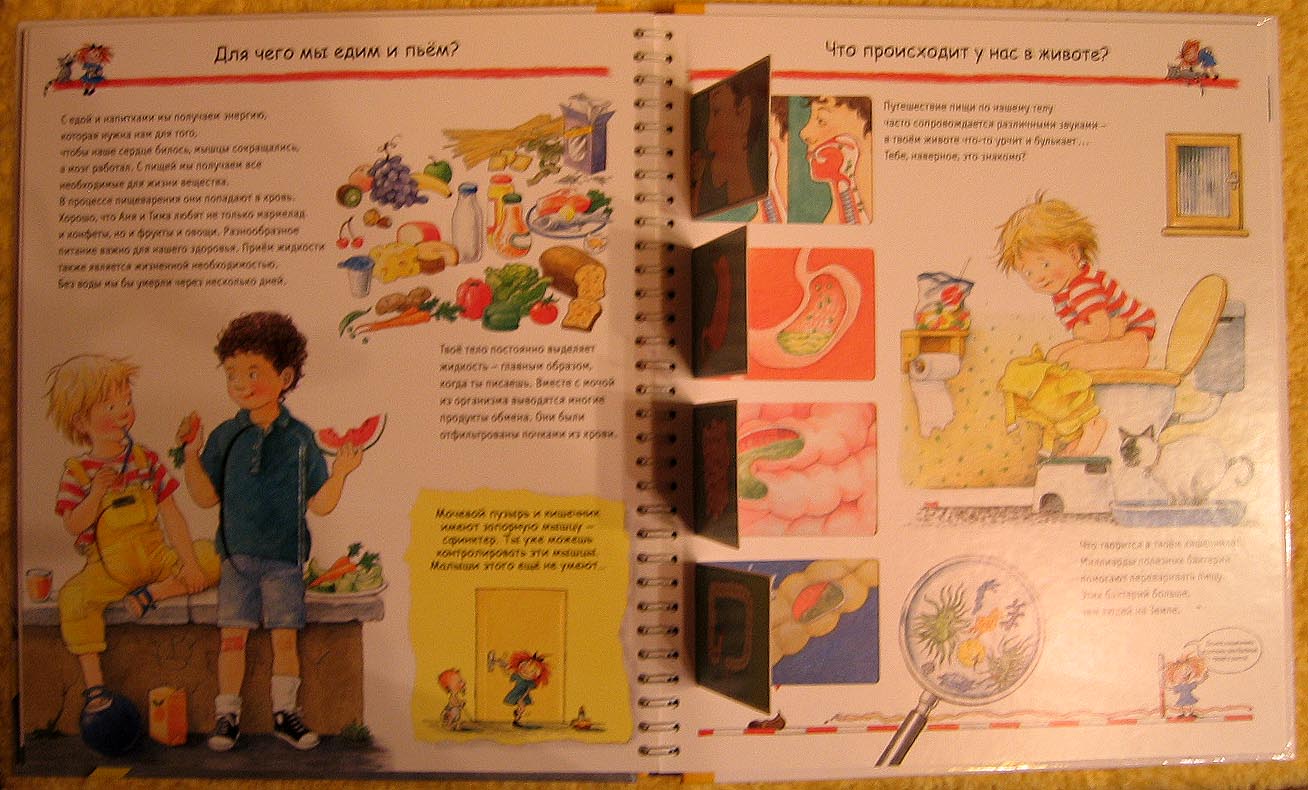 8029-1197-2 Изучаем свое тело б/ф 162 руб.. Книги