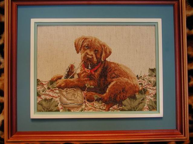 Janlynn Dog. Animals: